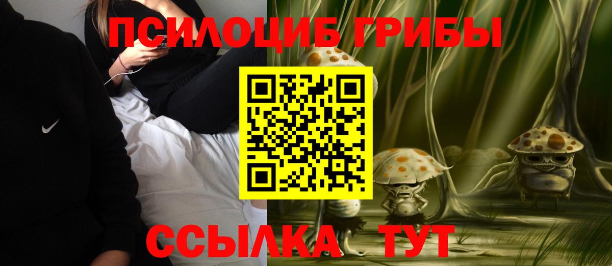 где можно купить   Вход с VPN  Коммунар  Галлюциногенные грибы MAGIC MUSHROOMS 